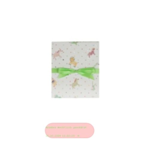 Bild von Baby-Leporellomappe Baby Animals Allover, 15,5x19cm, für 10 Fotos 13x18cm