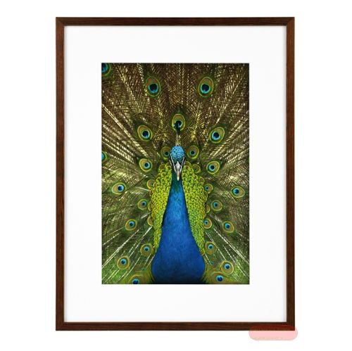 Bild von Bilderrahmen für Foto Bildformat 20x30/30x40cm, Holz, Pino mahagoni