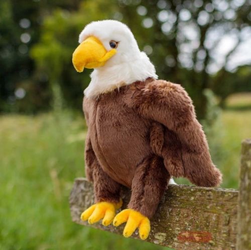 Bild von ANIMIGOS WORLD OF NATURE BALD EAGLE, Adler 30cm - VE 2 (SR)