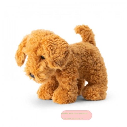 Bild von ANIMIGOS WORLD OF NATURE COCKAPOO DOG, Cockapoo Hund, 26cm - VE 3