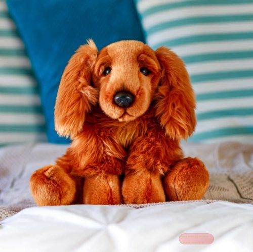 Bild von ANIMIGOS WORLD OF NATURE COCKER SPANIEL, Hund, 23cm - VE 3