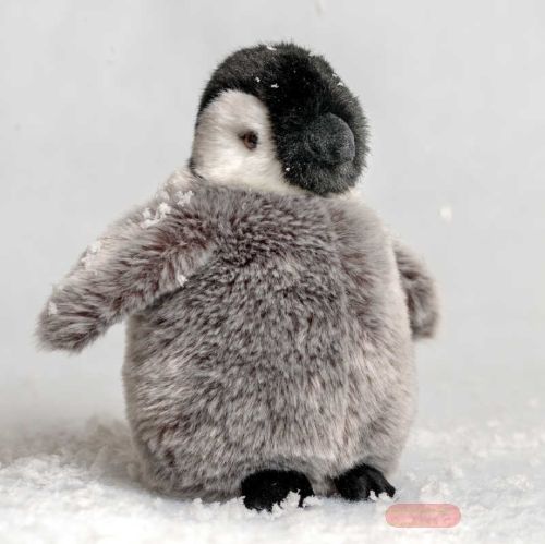 Bild von ANIMIGOS WORLD OF NATURE EMPEROR PENGUIN CHICK, Pinguin 20cm - VE 3