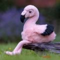 Bild von ANIMIGOS WORLD OF NATURE FLAMINGO, Flamingo, 25cm - VE 3