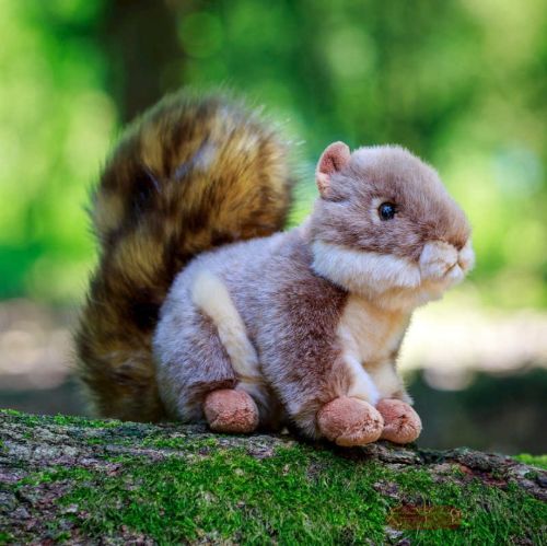 Bild von ANIMIGOS WORLD OF NATURE GREY SQUIRREL, Eichhörnchen, 23cm - VE 4