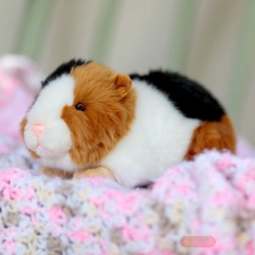 Bild von ANIMIGOS WORLD OF NATURE GUINEA PIG, Meerschwein, 20cm - VE 3