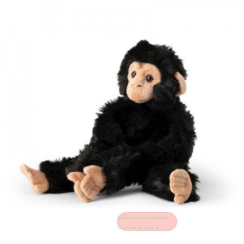 Bild von ANIMIGOS WORLD OF NATURE HANGING CHIMPANZEE, Schimpanse, 35x17cm - VE 3