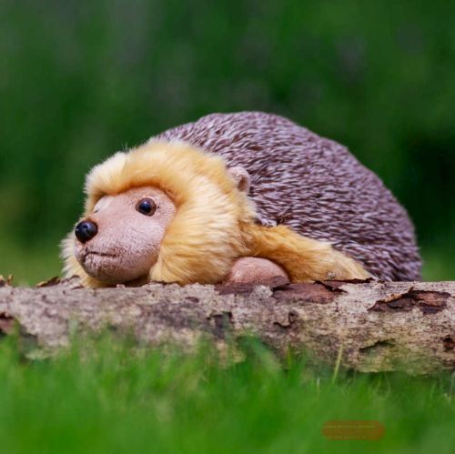 Bild von ANIMIGOS WORLD OF NATURE HEDGEHOG, Igel, 20cm - VE 3