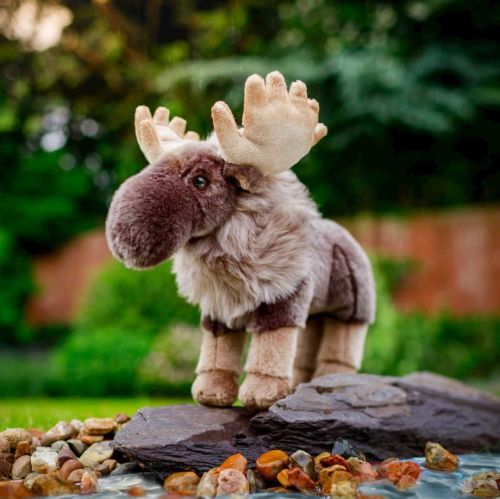 Bild von ANIMIGOS WORLD OF NATURE MOOSE, Elch, 27cm - VE 3