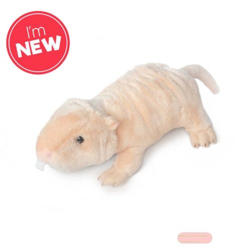 Bild von ANIMIGOS WORLD OF NATURE NAKED MOLE RAT, Nacktratte 17cm - VE 5