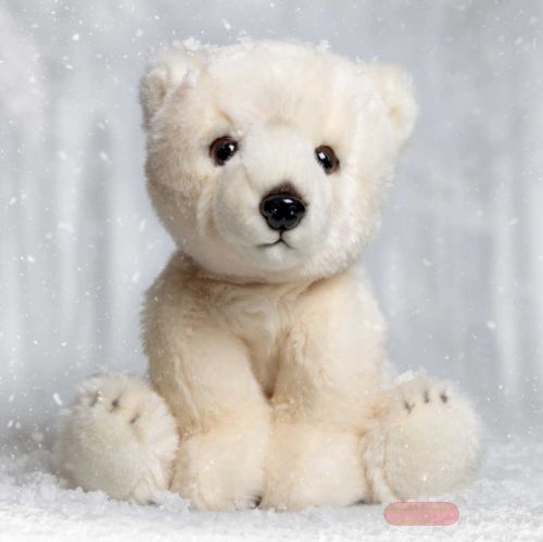 Bild von ANIMIGOS WORLD OF NATURE POLAR  BEAR, Eisbär, 23cm - VE 3