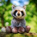 Bild von ANIMIGOS WORLD OF NATURE RACCOON, Waschbär 24cm - VE 3