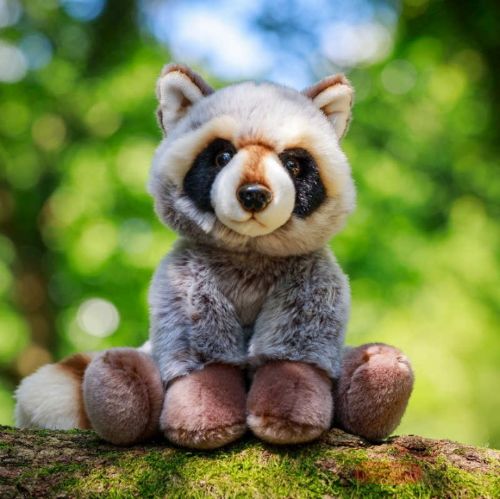 Bild von ANIMIGOS WORLD OF NATURE RACCOON, Waschbär 24cm - VE 3