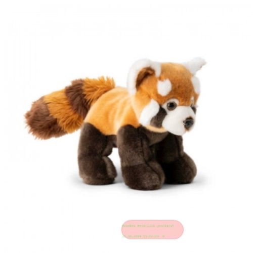 Bild von ANIMIGOS WORLD OF NATURE RED PANDA, roter Panda, 26cm - VE 3