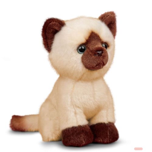 Bild von ANIMIGOS WORLD OF NATURE SIAMESE KITTEN, Siam-Katze 20cm - VE 3