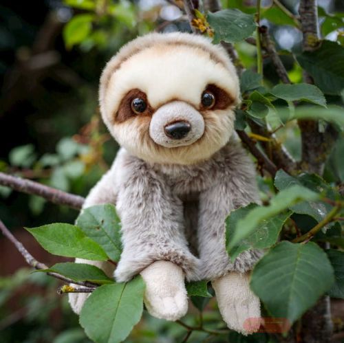 Bild von ANIMIGOS WORLD OF NATURE SLOTH, Faultier, 23cm - VE 3