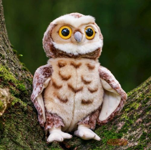 Bild von ANIMIGOS WORLD OF NATURE TAWNY OWL, Eule 27cm - VE 3