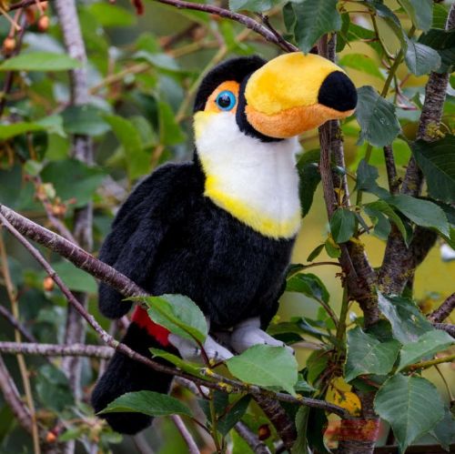 Bild von ANIMIGOS WORLD OF NATURE TOUCAN, Tucan, 28cm - VE 3
