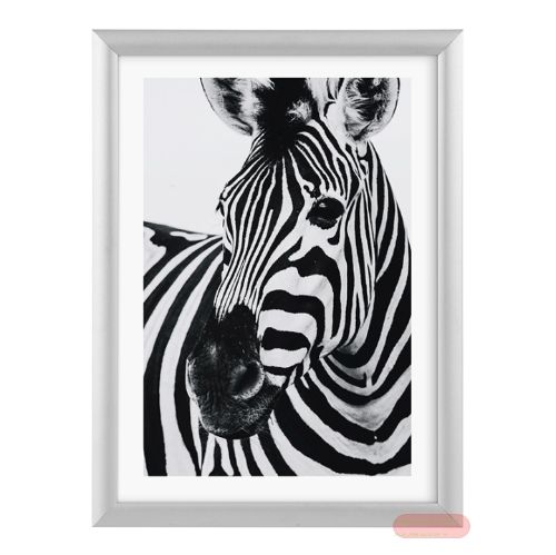 Bild von Bilderrahmen Bildformat 10x15cm, aluminium, Allumino silber