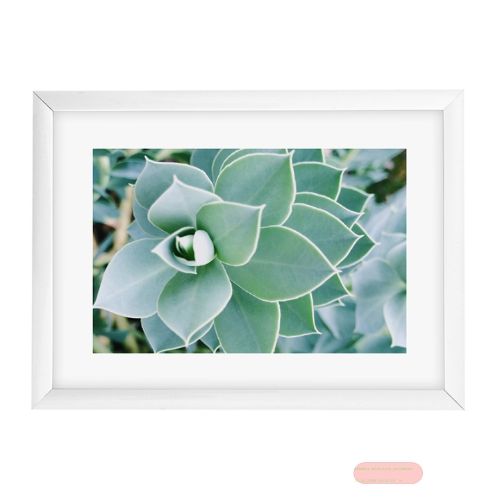 Bild von Bilderrahmen Foto13x18cm, Kunststoff, Your Gallery Succulent
