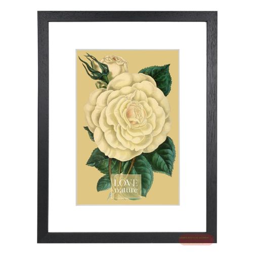 Bild von Bilderrahmen für Foto Bildformat 30x40/20x30cm, Holz, Rustiq black - VE 2