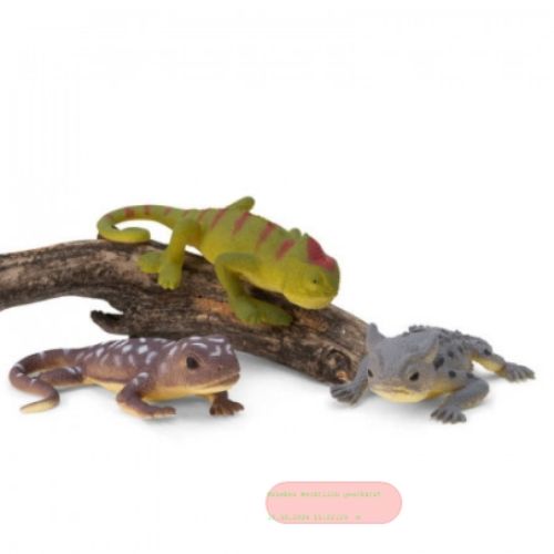 Bild von COLOUR CHANGING LIZARDS, Eidechsen farbwechselnd, ca.16cm, Display - VE 24
