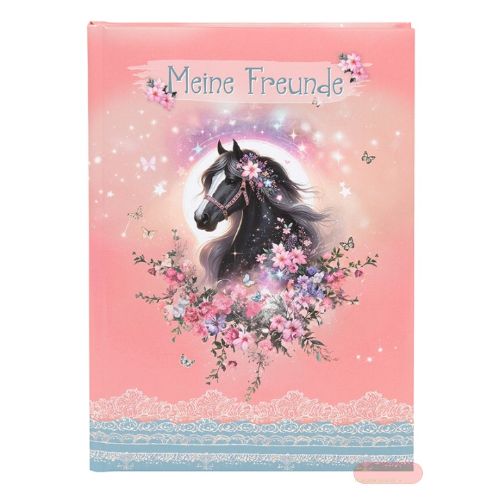 Bild von Freundebuch DIN A5 - 88 S.illustriert, Luna - VE 2