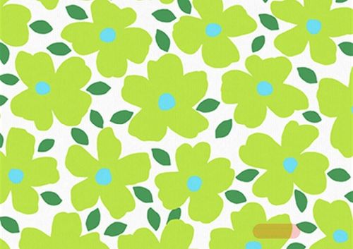 Bild von Geschenkpapier Rollen 2m x 70cm, Kraftpapier, Poppy Pop fresh - VE 5