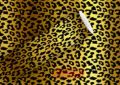 Bild von Geschenkpapier Rollen 2m x 70cm, Leo gold - VE 5