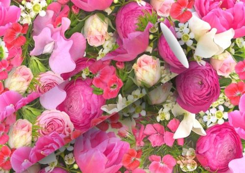 Bild von Geschenkpapier Rollen 2m x 70cm, Rosemarie - VE 5