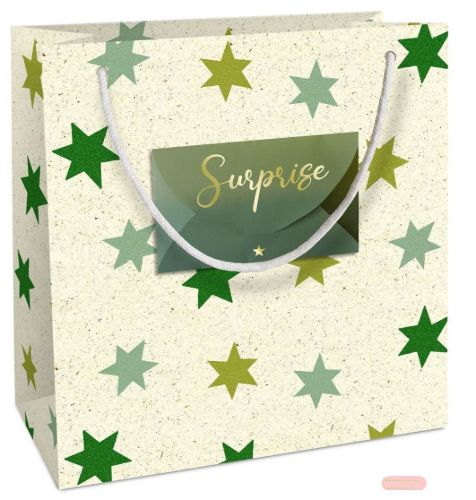 Bild von Geschenktasche Kraftpapier, 20x21x8cm, Iceland Forest Umschlag - VE 10