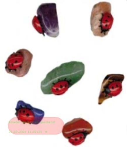 Bild von Glücks-Marienkäfer, ca.1-2cm, Handarbeit, auf Monatssteinen sitzend - VE 240