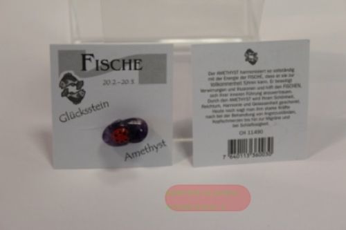 Bild von Glückstein Astro Fisch - VE 12
