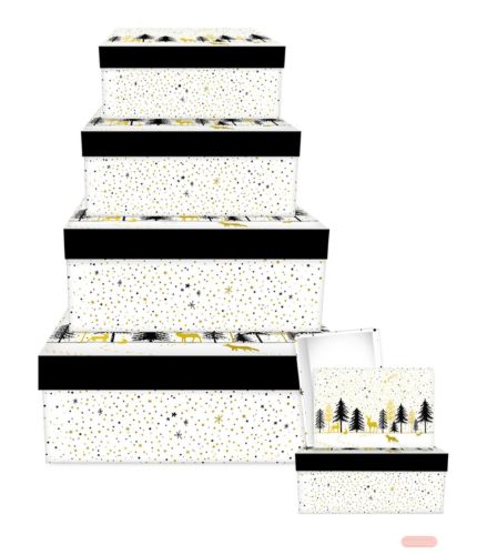 Bild von Kartonage 6er Set, grössen gemäss Katalog, Modern Wintertime