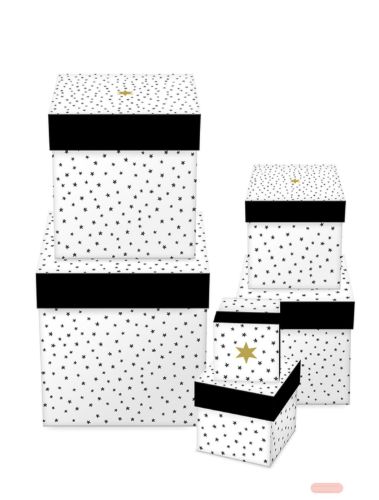 Bild von Kartonage 6er Set, grössen gemäss Katalog, Zauberhafte Tage