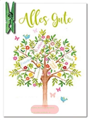 Bild von Klammerkarten Blanko PK179 - VE 10