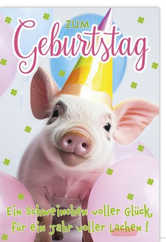 Bild von Karte Geburtstag PK 250 - VE 6