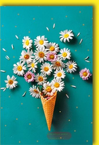 Bild von Karte Midi Blanco PK 199 - VE 10