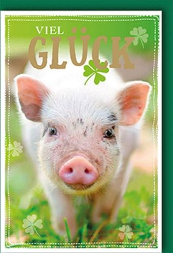 Bild von Karte Midi Glück PK 199 - VE 10