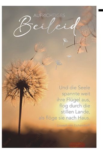 Bild von Karte Trauer PK 299 - VE 6