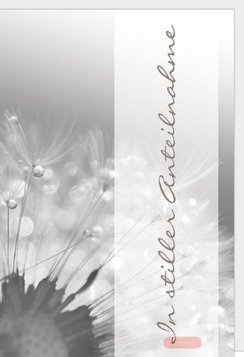 Bild von Karte Trauer PK 299 - VE 6