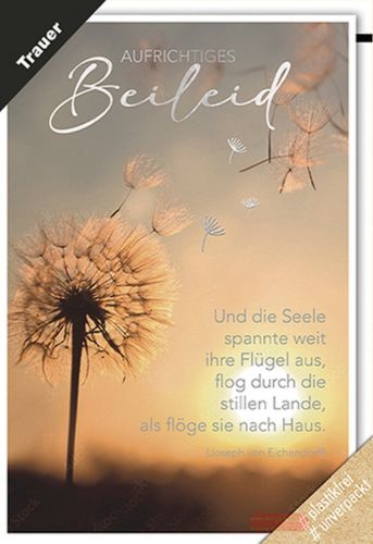 Bild von Karte Trauer PK 299 - VE 6