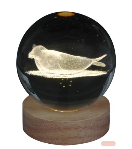 Bild von Klarglaskugel, ca.8cm, LED-Holzsockel mit USB, eingelasertes Motiv Robbe