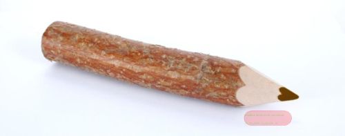 Bild von Nachfüllpack Holzstifte klein, braun - VE 24