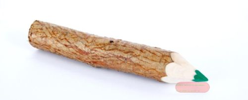 Bild von Nachfüllpack Holzstifte klein, dunkel-grün - VE 24