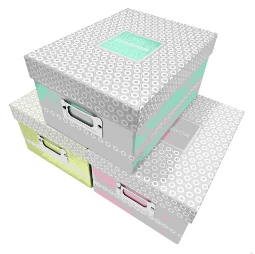 Bild von Sammelbox 16x21x11cm f. 700 Fotos 10x15cm,8 Reg.-karten,2 x ass., Pure Moments  - VE 6