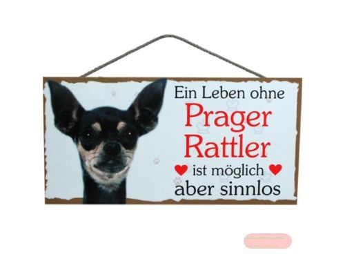Bild von Schilder Haustier 25x12,5cm, Sperrholz 8mm mit Kordel, Hund Prager Rattler