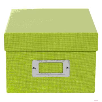 Bild von Sammelbox 16x21x11cm f. 700 Fotos 10x15cm,8 Registerkarten, B.Vista grün - VE 6