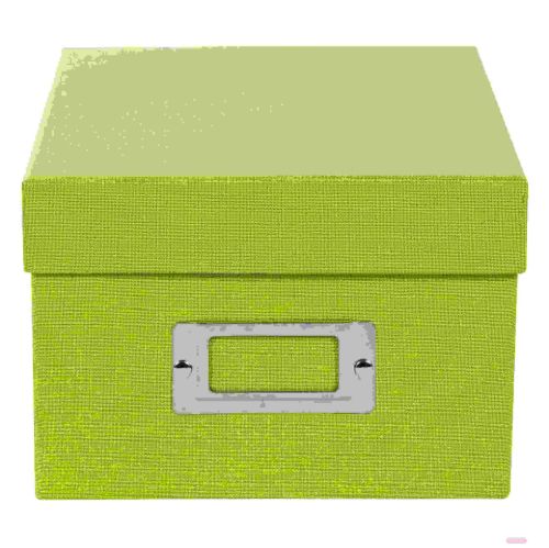 Bild von Sammelbox 16x21x11cm f. 700 Fotos 10x15cm,8 Registerkarten, B.Vista grün - VE 6