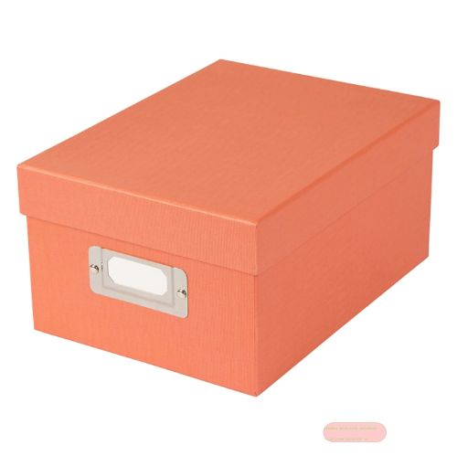 Bild von Sammelbox 16x21x11cm f. 700 Fotos 10x15cm,8 Registerkarten, B.Vista lachs - VE 6