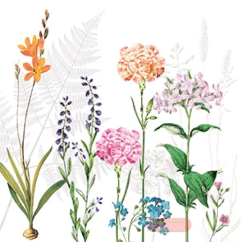 Bild von Servietten 25x25cm, Atelier Cocktail Botanica - VE 6